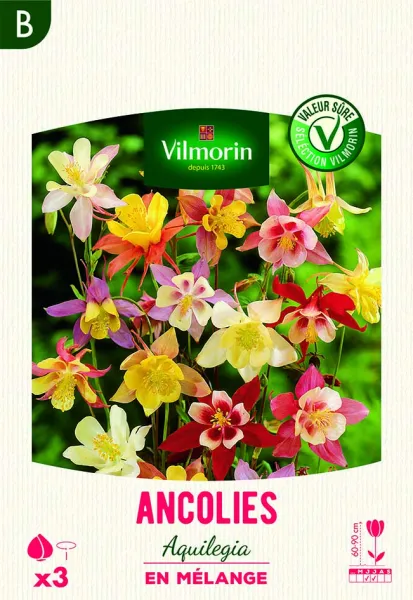 Bulbes à fleurs à planter au printemps - Ancolie Aquilegia en Mélange (x3) - face recto