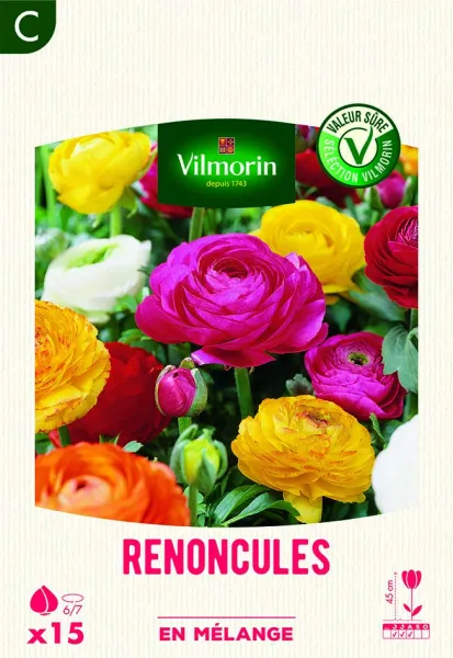 Bulbes à fleurs à planter au printemps - Renoncule en Mélange (x15) - PACKAGING_RECTO