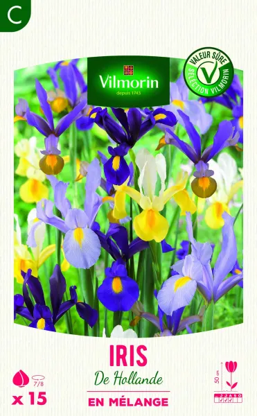 Bulbes à fleurs à planter au printemps - Iris de Hollande en Mélange (x15) - PACKAGING_RECTO