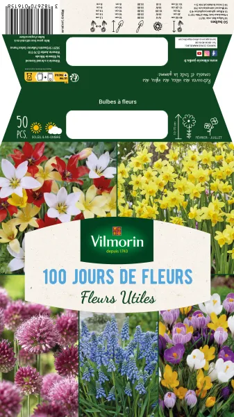 Bulbes à fleurs à planter à l'automne - Bulbes à fleurs en Mélange - 100 jours de bulbes à fleurs (x50) - MEDIA_PACKAGING_VERSO