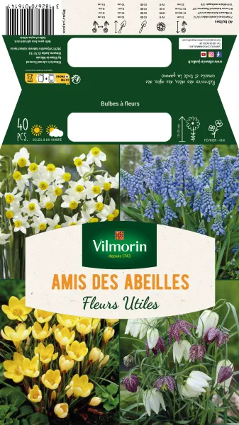 Bulbes à fleurs à planter à l'automne - Bulbes à fleurs en Mélange - Amis des abeilles (x40) - MEDIA_PACKAGING_VERSO