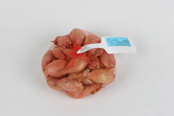 Bulbes potagers - Echalote Jermor - 500 g - face recto