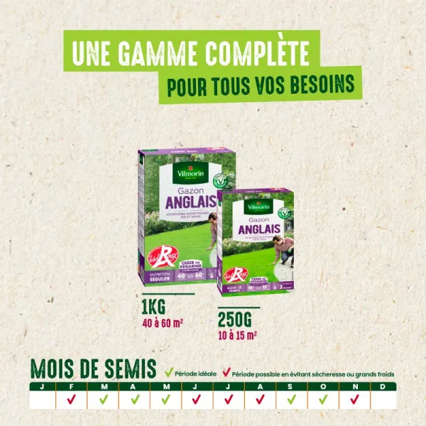 Anglais - Gazon Anglais Label Rouge - 1 kg - image