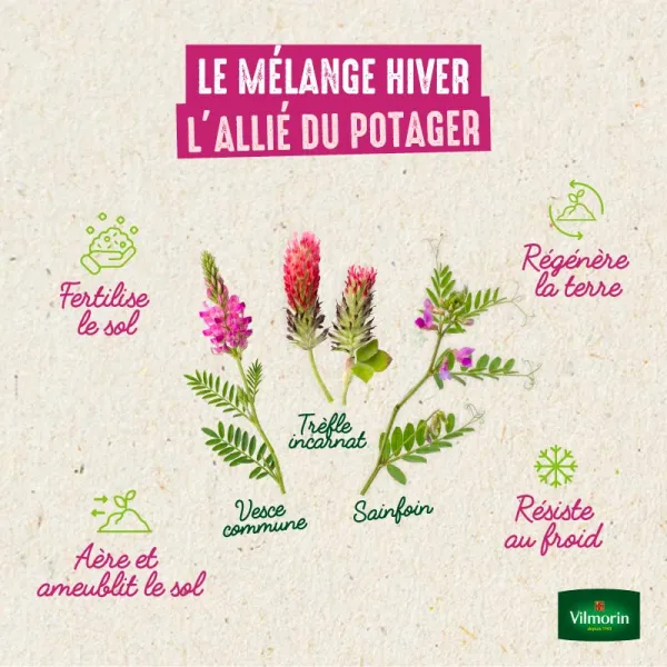Engrais verts - Les plantes utiles Mélange Hiver - BIO - Petit Modèle - image