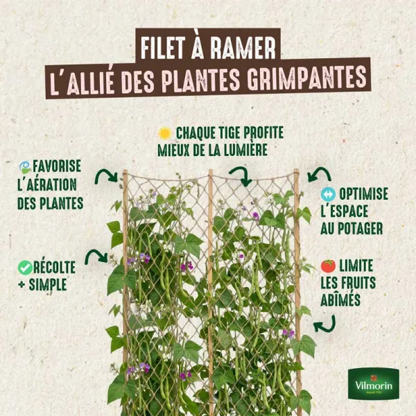 Kit de jardinage - Kit semis Haricot Grimpant Melissa 20m + Filet à ramer Jute - 2m x 5m - image