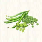 Légumes Secs