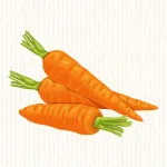 Carotte