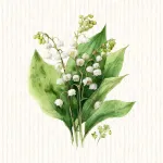 Muguet