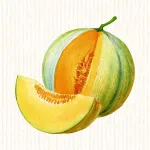 Melon