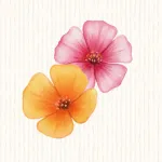 Eschscholtzia