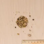 Pour nos animaux - Mélange de fleurs pour Tortues Terrestres - MEDIA_3D