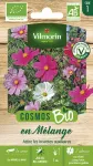 Fleurs - Cosmos Varié - BIO - face recto