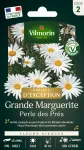 Fleurs - Grande Marguerite Perle des Prés - Graines d'Exception - PACKAGING_RECTO