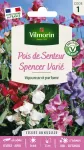 Fleurs - Pois de Senteur Spencer Varié - face recto