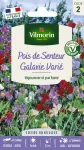 Fleurs - Pois de Senteur Galaxie Varié - face recto