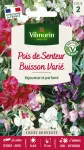 Fleurs - Pois de Senteur Buisson Varié - face recto