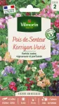 Fleurs - Pois de Senteur Korrigan varié - face recto