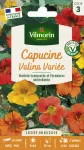 Fleurs - Capucine Valina Variée - face recto