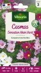 Fleurs - Cosmos Sensation Nain Varié - PACKAGING_RECTO