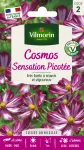 Fleurs - Cosmos Picotée - PACKAGING_RECTO