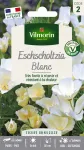 Fleurs - Eschscholtzia Blanc - PACKAGING_RECTO
