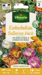 Fleurs - Eschscholtzia de Californie Ballerine Varié - PACKAGING_RECTO
