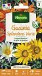 Fleurs - Gazania Splendens Varié - PACKAGING_RECTO