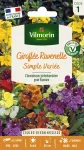 Fleurs - Giroflée Ravenelle Simple Variée - PACKAGING_RECTO