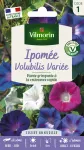 Fleurs - Ipomée Volubilis Variée  - PACKAGING_RECTO