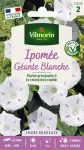 Fleurs - Ipomée Géante Blanche - PACKAGING_RECTO