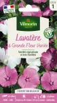 Fleurs - Lavatère à Grande Fleur Variée - PACKAGING_RECTO
