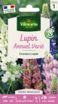 Fleurs - Lupin Annuel Varié - face recto