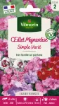 Fleurs - Œillet Mignardise Simple Varié - PACKAGING_RECTO