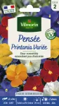 Fleurs - Pensée Printania Variée - face recto
