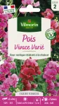 Fleurs - Pois Vivace Varié - PACKAGING_RECTO