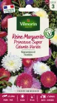 Fleurs - Reine-Marguerite Princesse Super Géante Variée - PACKAGING_RECTO