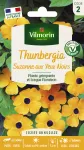 Fleurs - Thunbergia Alata Suzanne aux Yeux Noirs - PACKAGING_RECTO