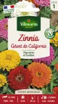 Fleurs - Zinnia géant de Californie mix - face recto
