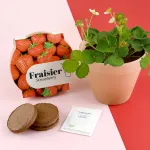 Radis et Capucine - Kit Fraisier - Pot Terre Cuite Antique - 13 cm - MEDIA_EN_SITUATION_1