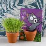 Radis et Capucine - Kit de jardinage - Herbe à Chat - MEDIA_EN_SITUATION_2