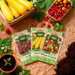 Kit de jardinage - Kit semis bio + 12 étiquettes de marquage offertes - face recto