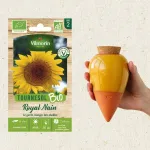 Kit de jardinage - Kit semis Tournesol Royal Nain Bio + Olla Jaune Moutarde - face recto