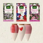 Kit de jardinage - Kit semis de 3 fleurs + Trio Mini Ollas - face recto