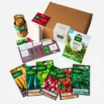 Kit de jardinage - Coffret mon premier potager - MEDIA_3D