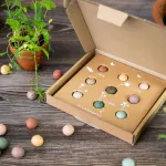 Bombes à graines - Blossombs - Coffret Cadeau - Des fleurs pour toi - 9 bombes à graines - BIO - face recto