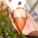 Olla - Pépin - Mini Olla (x3) - PACKAGING_3D_VERSO