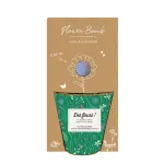 Bombes à graines - Blossombs - Kit de semis - Des fleurs - 1 bombe à graines - BIO - face recto