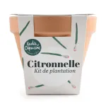 Radis et Capucine - Kit Citronnelle - Pot en Terre Cuite - 13 cm - face recto