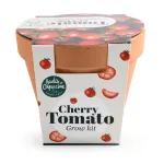 Radis et Capucine - Kit Tomate Cerise Bio - Pot en Terre Cuite - 13 cm - PACKAGING_3D_VERSO
