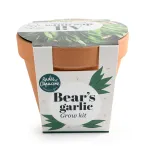 Radis et Capucine - Kit Ail des Ours - Pot en Terre Cuite Antique - 13 cm - PACKAGING_3D_VERSO